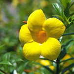 test_photo.jpg