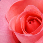 test_photo2.jpg